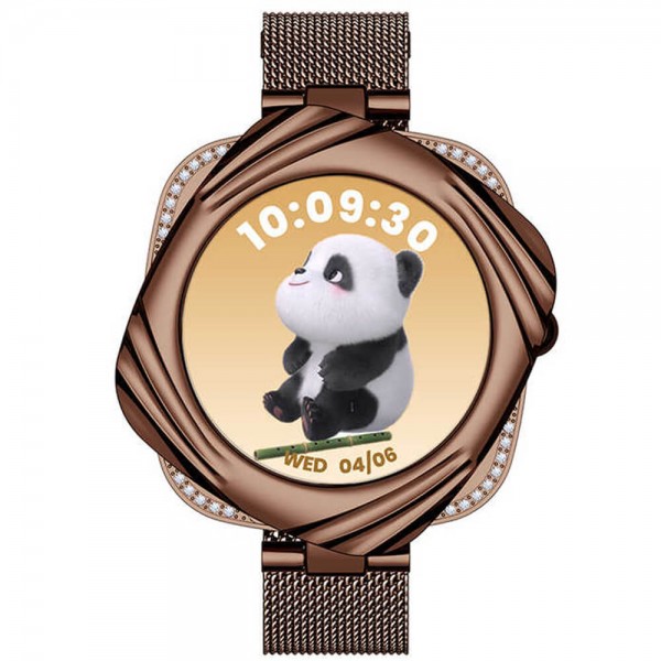 Smartwatch Microwear AW5 - Brown Steel