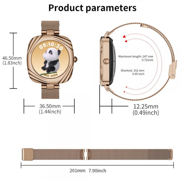 Smartwatch Microwear AW5 - Brown Steel