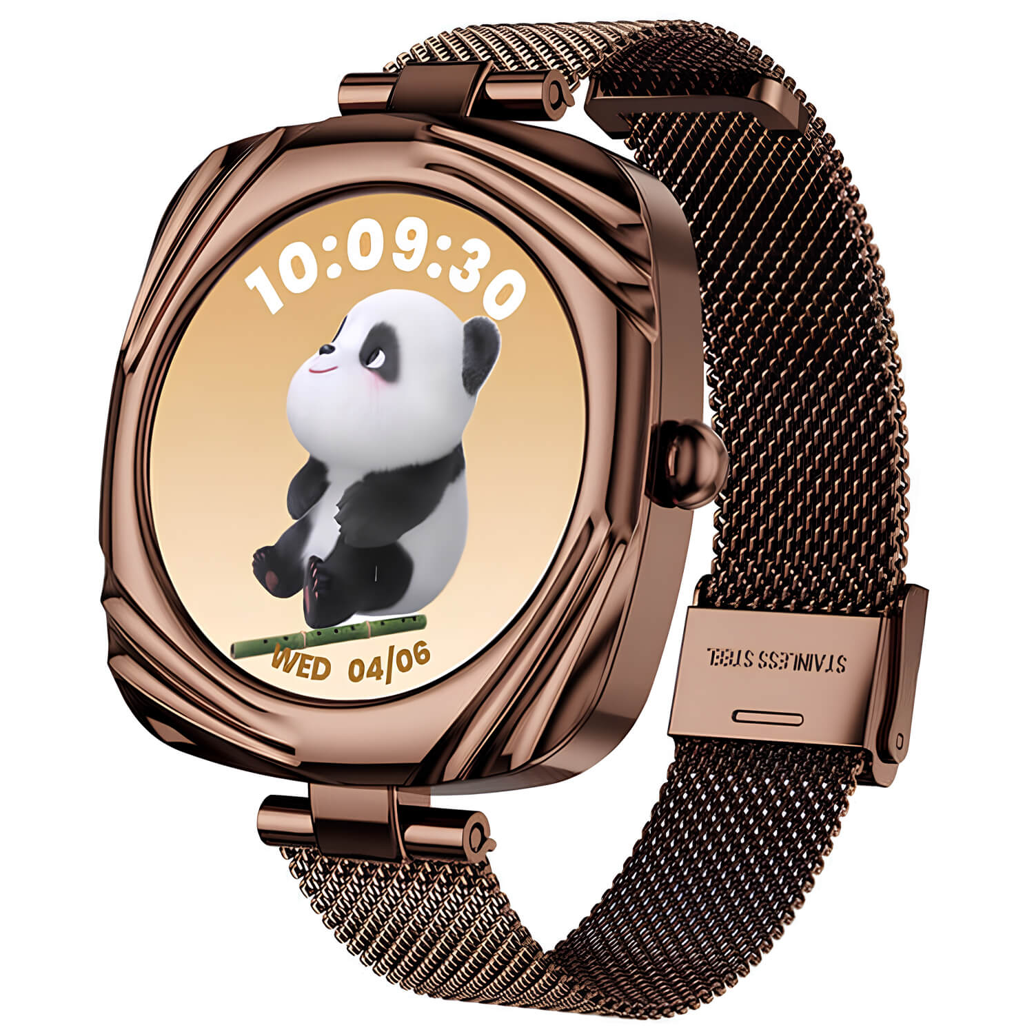 Smartwatch Microwear AW5 - Brown Steel