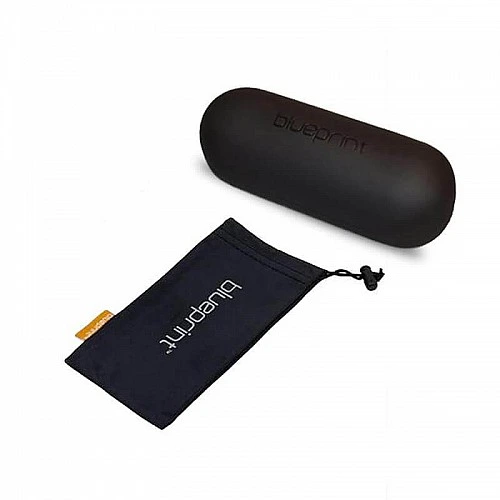 Blueprint Eyewear  Ivy // Champagne Gold Polarized  