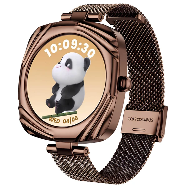 Smartwatch Microwear AW5 - Brown Steel